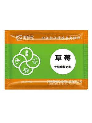 草莓芽枯技术包