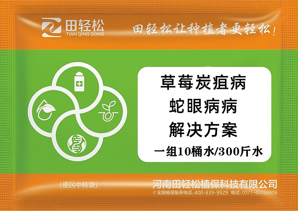 草莓炭疽病、蛇眼病-2