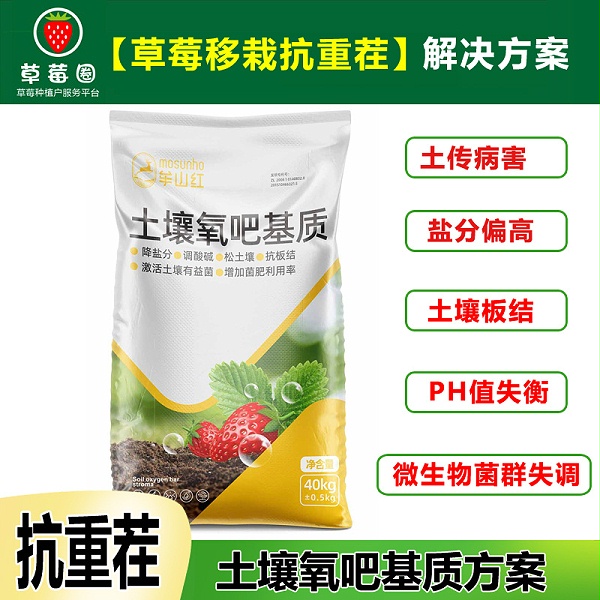氧吧方案